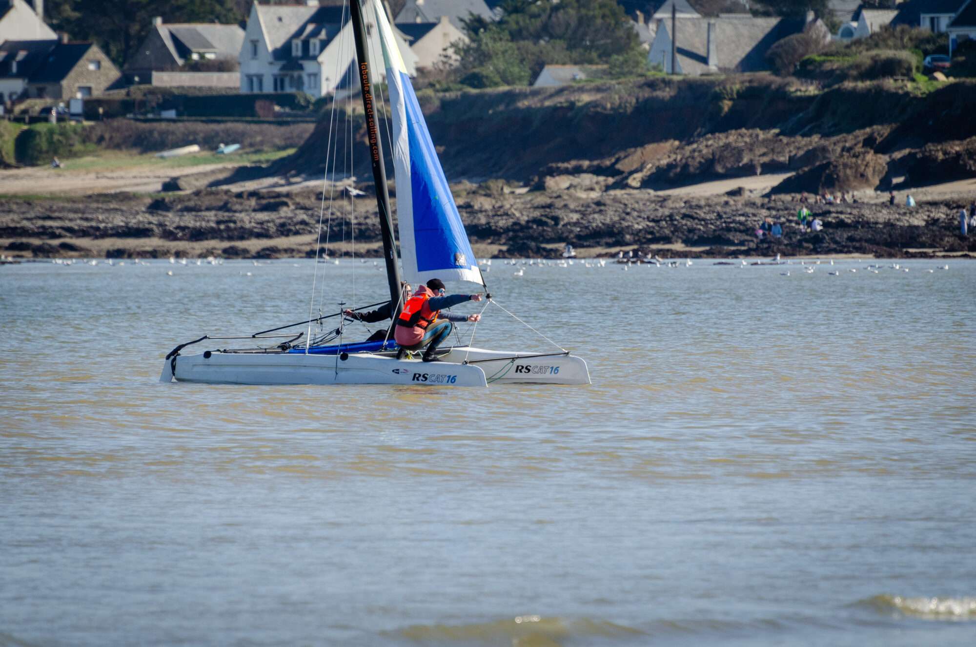 photo d'un catamaran RS 16